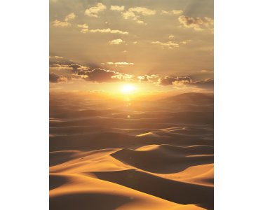 Marburg Dune 32545 Digitaldrucke, Panel