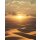 Marburg Dune 32545 Digitaldrucke, Panel