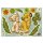 Tapeten Komar 14040h  Deco-Sticker "Simba and Nala"  bunt          