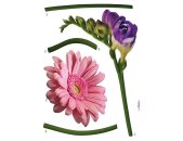 Tapeten Komar 18887h  Deco-Sticker "Fiore"  rosa/lila/grün            