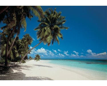 Tapeten Komar 8-240  Fototapete "Maldives"  bunt
