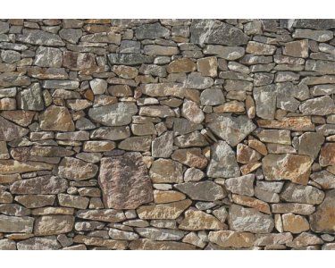 Tapeten Komar 8-727  Fototapete "Stone Wall"  grau/braun
