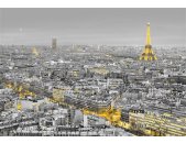 Tapeten Komar 8-960  Fototapete "Paris Lights"  schwarz, weiß, gold         