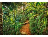 Tapeten Komar 8-989  Fototapete "Jungle Trail"  grün/weiß           