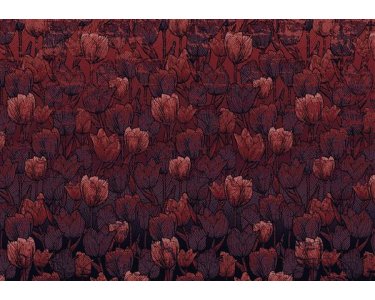 Tapeten Komar HX8-051  Vlies Fototapete "Tulipe"  rot           