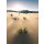 Tapeten Komar SHX4-091  Vlies Fototapete "Vivid Dunes"  braun          