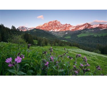 Tapeten Komar SHX9-069  Vlies Fototapete "Picturesque Switzerland"  bunt
