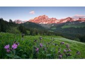 Tapeten Komar SHX9-069  Vlies Fototapete "Picturesque Switzerland"  bunt