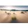 Tapeten Komar SHX9-091  Vlies Fototapete "Vivid Dunes"  bunt          