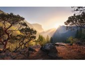 Tapeten Komar SHX9-101  Vlies Fototapete "Yosemites...