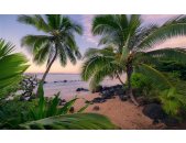 Tapeten Komar SHX9-116  Vlies Fototapete "Hawaiian Dreams "  bunt          