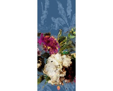Tapeten Khroma Masureel Wall Designs DGELL1023 Vinyltapeten