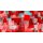 AP Digital 4  3D CubesRed