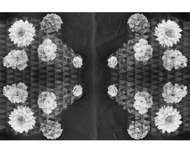 AP Digital 4  ArtworkFlower1