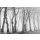 AP Digital 4  Bark