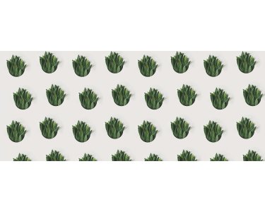AP Digital 4  Leaf Pattern