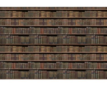 AP Digital 4  Old Books