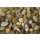 AP Digital 4  Pebble Mixed