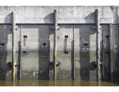 AP Digital 4  Pier