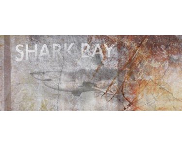 AP Digital 4  Shark Bay