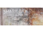 AP Digital 4  Shark Bay