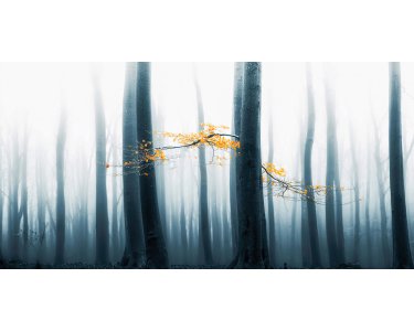 AP Digital 4  Speulder Revisi