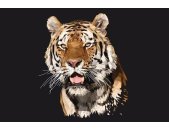 AP Digital 4  Tiger Polygon
