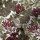 Tapeten A.S Creation Floral Impression  377572 Vliestapete