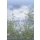 Marburg Domotex New Style 30970 Digitaldruck