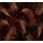 Tapeten Erismann Art Edition 2243-35 Digitaltapete, Glossy Palms