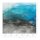 Tapeten Erismann Art Edition 2245-10 Digitaltapete, Liquid