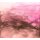 Tapeten Erismann Art Edition 2245-20 Digitaltapete, Liquid
