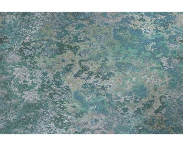 Tapeten Erismann Art Edition 2248-30 Digitaltapete, Microscope