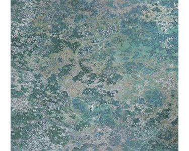 Tapeten Erismann Art Edition 2248-35 Digitaltapete, Microscope