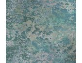 Tapeten Erismann Art Edition 2248-35 Digitaltapete, Microscope