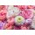 Tapeten Komar 8-335  Colours Imagine Edition 5 Vibrant Spring  Vlies Fototapete