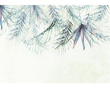 Tapeten Komar X7-1097  Colours Imagine Edition 5 Palm Spring   Vlies Fototapete