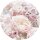 Tapeten Komar D1-072  Le Jardin Pink and Cream Roses  Vlies Fototapete
