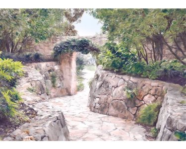 Tapeten Komar LJX7-051  Le Jardin Passage  Vlies Fototapete