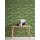 385831 Tapeten A.S Creation The Wallcover   385831 SK Folie