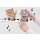 Tapeten Komar 14106h Fototapeten Wandtattoo - Aristocats Kittens  - Größe 50 x 70 cm
