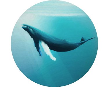 Tapeten Komar D1-081 Selbstklebende Fototapete/Wandtattoo Vlies  - Whale Watching - Größe 125 x 125 cm