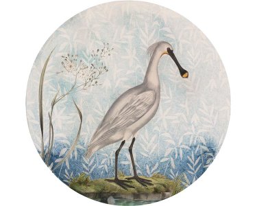 Tapeten Komar D1-097 Selbstklebende Fototapete/Wandtattoo Vlies  - Spoonbill - Größe 125 x 125 cm