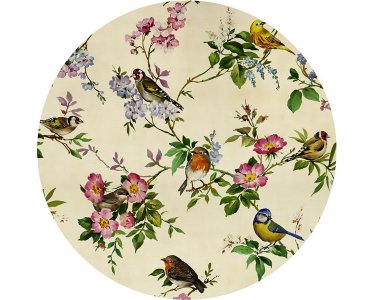 Tapeten Komar D1-100 Selbstklebende Fototapete/Wandtattoo Vlies  - Bird Party - Größe 125 x 125 cm