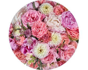 Tapeten Komar D1-103 Selbstklebende Fototapete/Wandtattoo Vlies  - Beautiful Blossoms - Größe 125 x 125 cm