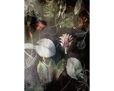 Tapeten Komar INX4-044 Fototapeten Vlies  - Night Flowers - Größe 200 x 280 cm