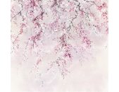Tapeten Komar INX6-013 Fototapeten Vlies  - Kirschblüten - Größe 300 x 280 cm