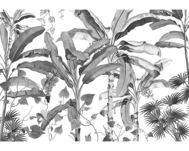 Tapeten Komar INX8-082 Fototapeten Vlies  - Croissances Monochrome - Größe 400 x 280 cm