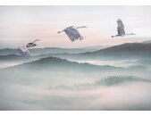 Tapeten Komar INX8-083 Fototapeten Vlies  - Mystic Cranes - Größe 400 x 280 cm