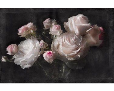 Tapeten Komar 4-876 Fototapeten Papier  - Eternity - Größe 254 x 184 cm